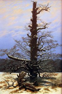 Carvalho na neve de Caspar David Friedrich
